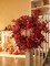 Anna&#x27;s Whimsy 5.91FT Fall Garland Artificial Eucalyptus Garland with Flowers, Fall Decor Fake Rose Gypsophila Garland, Fall Flower Faux Floral Garland for Wedding Home Party Table Runner(Orange, 1)